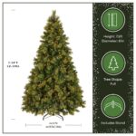 7.5 ft. Pre-Lit Carolina Pine Hinged Tree with 1000 Clear Lights, Plug-In - Image 3