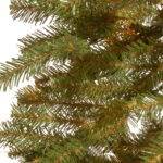 4 ft. Hickory Cedar Tree - Image 6
