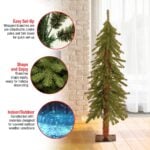 4 ft. Hickory Cedar Tree - Image 5