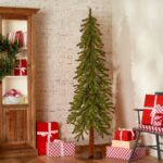 5 ft. Hickory Cedar Tree - Image 12