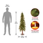 5 ft. Hickory Cedar Tree - Image 4