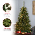 4 ft. Pre-Lit Canadian Fir Tree with Clear Lights, Plug-In - Image 8