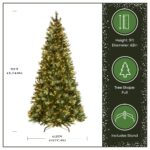 9 ft. Pre-Lit Charleston Pine Tree with Clear Lights - Image 3