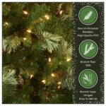 9 ft. Pre-Lit Charleston Pine Tree with Clear Lights - Image 6