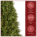 12 ft. Pre-Lit Dunhill Fir Hinged Tree with Clear Lights, Plug-In - Image 4