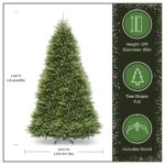 12 ft. Dunhill Fir Tree - Image 3