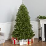 6.5 ft. Dunhill Fir Full Tree - Image 2