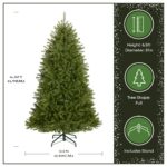 6.5 ft. Dunhill Fir Full Tree - Image 4