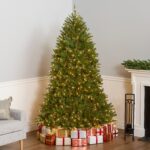 7 ft. Pre-Lit Dunhill Fir Full Tree with Clear Lights - Image 2