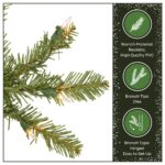 7 ft. Pre-Lit Dunhill Fir Full Tree with Clear Lights - Image 7
