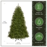 7 ft. Dunhill Fir Full Tree - Image 3
