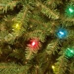 7.5 ft. Pre-Lit Dunhill Fir Tree with Multicolor Lights, Plug-In - Image 13
