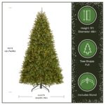 9 ft. Pre-Lit Dunhill Fir Hinged Tree with 1100 Clear Lights - Image 3