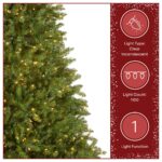 9 ft. Pre-Lit Dunhill Fir Hinged Tree with 1100 Clear Lights - Image 5