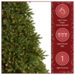 9 ft. Pre-Lit Dunhill Fir Hinged Tree with 900 Clear Lights - Image 6