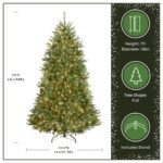 7 ft. Pre-Lit Dunhill Fir Tree with PowerConnect Clear Lights, Plug-In - Image 4