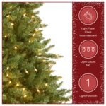 7 ft. Pre-Lit Dunhill Fir Tree with PowerConnect Clear Lights, Plug-In - Image 6