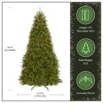 9 ft. Pre-Lit Dunhill Fir Hinged Tree with PowerConnect Clear Lights - Image 3
