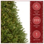 9 ft. Pre-Lit Dunhill Fir Hinged Tree with PowerConnect Clear Lights - Image 4