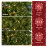 7 ft. Pre-Lit Dunhill Fir Hinged Tree with PowerConnect Dual Color LED Lights - Image 5