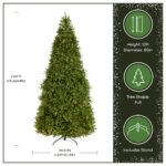 12 ft. Pre-Lit Dunhill Fir Tree with PowerConnect Dual Color LED Lights, Plug-In - Image 3