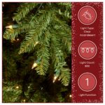 9 ft. Pre-Lit Dunhill Fir Slim Hinged Tree with Clear Lights, Plug-In - Image 4