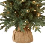 4 ft. Pre-Lit Everyday Collection Tree with Clear Lights, Plug-In - Image 4