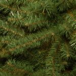 3 ft. Kincaid Spruce Tree - Image 3