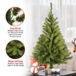 3 ft. Kincaid Spruce Tree - Image 5