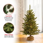4 ft. Pre-Lit Kensington Fir Tree in a Burlap Sack with Clear Lights, Plug-In - Image 5