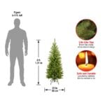 4 ft. Kingswood Fir Pencil Tree - Image 5
