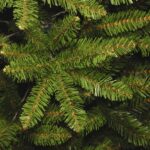 6 ft. Kingswood Fir Pencil Tree - Image 3