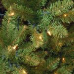 7 ft. Pre-Lit Kingswood Fir Pencil Tree with Power Connect Dual Color LED Lights, Plug-In - Image 3