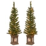 4 ft. Pre-Lit Leigh Valley Tree Set with Clear Lights, Plug-In