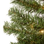 4 ft. Pre-Lit Montclair Spruce Tree with Clear Lights, Plug-In - Image 4