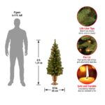 4 ft. Pre-Lit Montclair Spruce Tree with Clear Lights, Plug-In - Image 6