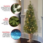 4 ft. Pre-Lit Montclair Spruce Tree with Clear Lights, Plug-In - Image 7