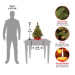 2 ft. Pre-Lit Majestic Fir Tree with Multicolor LED Lights, Red Base - Image 4