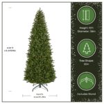 10 ft. Pre-Lit Natural Fraser Slim Fir Tree with Clear Lights, Plug-In - Image 4