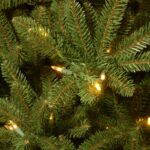 9 ft. Pre-Lit Natural Fraser Fir Slim Tree with Clear Lights, Plug-In - Image 4