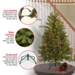 4.5 ft. Pre-Lit North Valley Spruce Tree with Clear Lights, Plug-In - Image 7