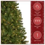 6.5 ft. Pre-Lit North Valley Spruce Full Tree with Clear Lights, Plug-In - Image 5