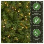 6.5 ft. Pre-Lit North Valley Spruce Full Tree with Clear Lights, Plug-In - Image 6