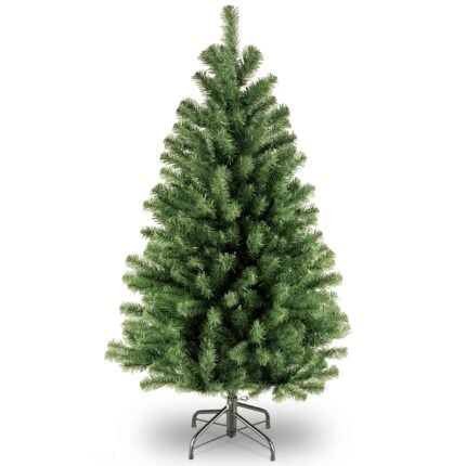 4 ft. North Valley Spruce Tree