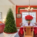6 ft. North Valley Spruce Tree - Image 7