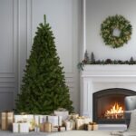 6 ft. North Valley Spruce Tree - Image 2