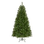 6.5 ft. North Valley Spruce Tree
