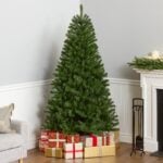 6.5 ft. North Valley Spruce Tree - Image 2