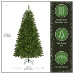 6.5 ft. North Valley Spruce Tree - Image 4