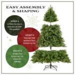 6.5 ft. North Valley Spruce Tree - Image 5